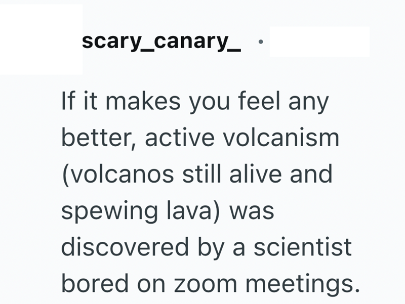 scary_canary_ If it makes you feel any better, active volcanism (volcanos still alive and spewing lava) was discovered by a scientist bored on zoom meetings.