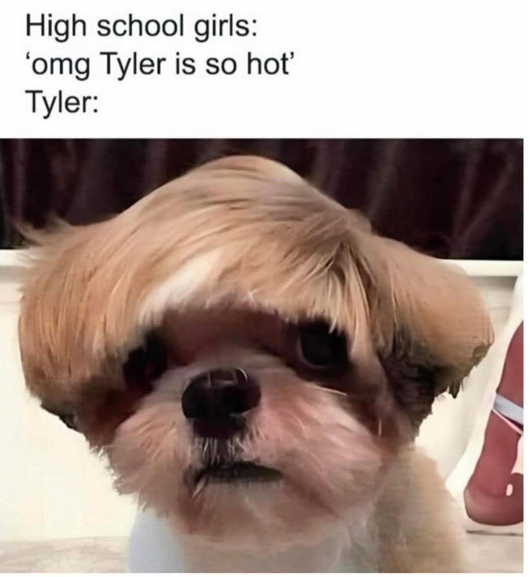 High school girls: 'omg Tyler is so hot' Tyler:
