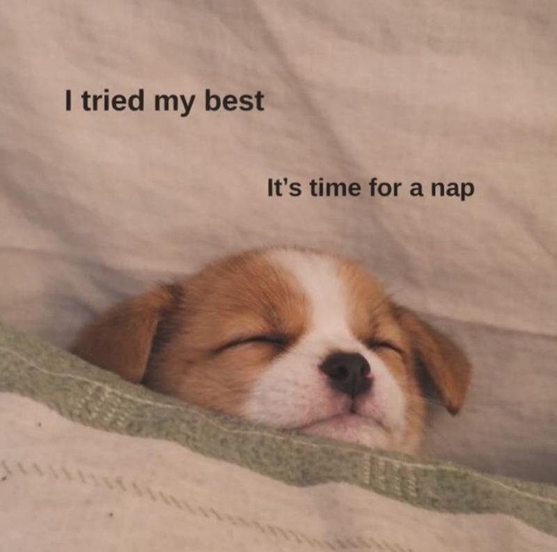 I tried my best It's time for a nap