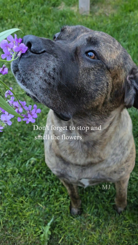 Don't forget to stop and smell the flowers MJ