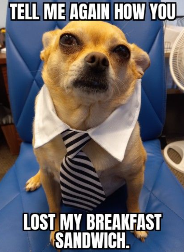 TELL ME AGAIN HOW YOU LOST MY BREAKFAST SANDWICH.