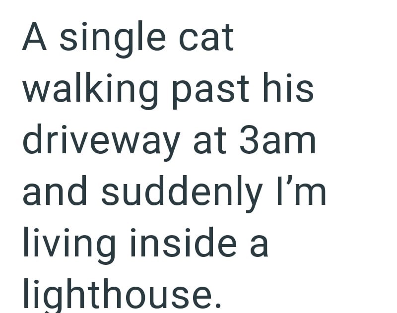 A single cat walking past his driveway at 3am and suddenly I'm living inside a lighthouse