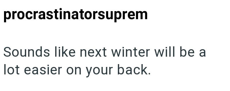 procrastinatorsuprem Sounds like next winter will be a lot easier on your back.
