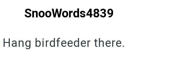 SnooWords4839 Hang birdfeeder there.