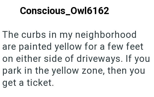 Conscious_Owl6162 The curbs in my neighborhood are painted yellow for a few feet on either side of driveways. If you park in the yellow zone, then you get a ticket.
