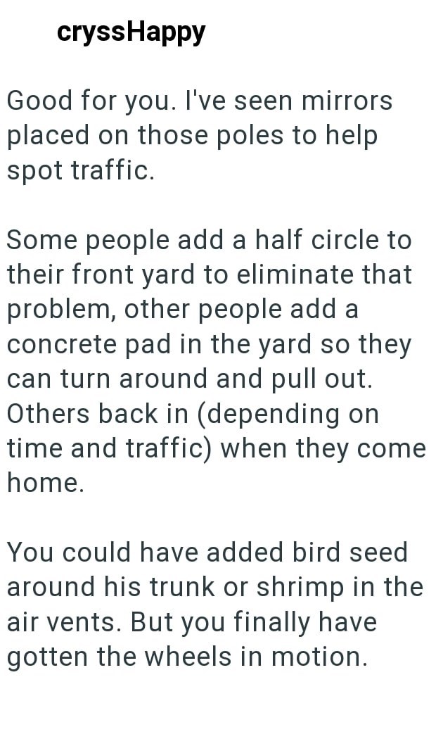 cryssHappy Good for you. I've seen mirrors placed on those poles to help spot traffic. Some people add a half circle to their front yard to eliminate that problem, other people add a concrete pad in the yard so they can turn around and pull out. Others back in (depending on time and traffic) when they come home. You could have added bird seed around his trunk or shrimp in the air vents. But you finally have gotten the wheels in motion.