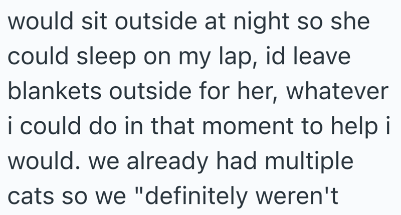 would sit outside at night so she could sleep on my lap, id leave blankets outside for her, whatever i could do in that moment to help i would. we already had multiple cats so we "definitely weren't