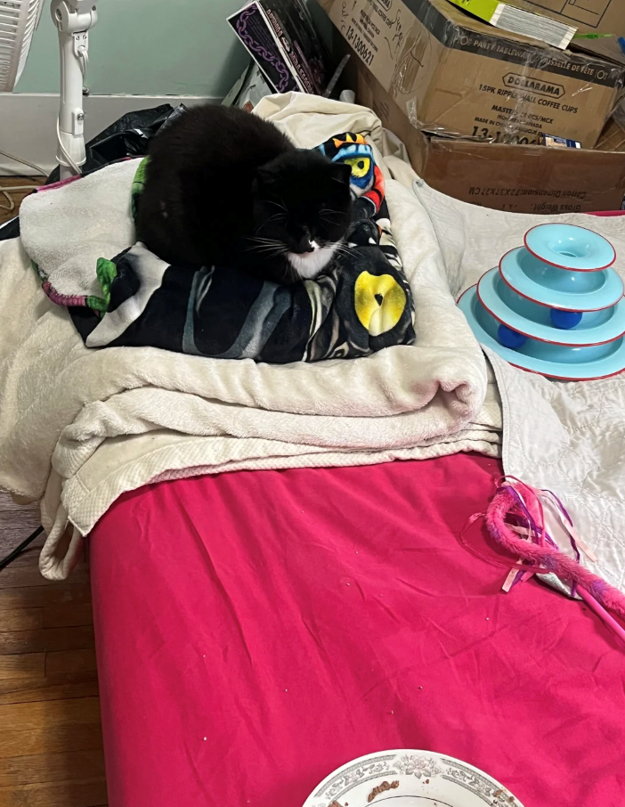 97 13-1300621 PO PARTY TABLEWAISSELLE DE FETE O DOLLARAMA 15PK RIPPLE WALL COFFEE CUPS MASTERCS/MCX MONADA MADE IN Cut 13-19004