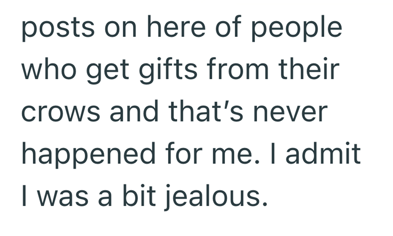 posts on here of people who get gifts from their crows and that's never happened for me. I admit I was a bit jealous.