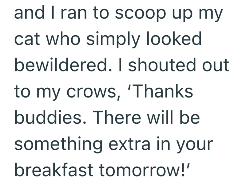 and I ran to scoop up my cat who simply looked bewildered. I shouted out to my crows, 'Thanks buddies. There will be something extra in your breakfast tomorrow!'