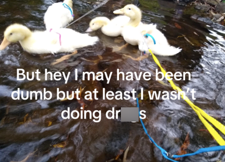 But hey I may have been dumb but at least I wasn't doing dr s