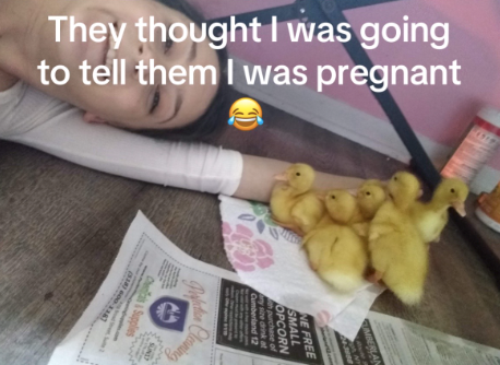 to tell them I was pregnant They thought I was going NE FREE SMALL OPCORN purchase of ny size drink at Cumberland 12 Perfection Cleaning € Supplies SUNL