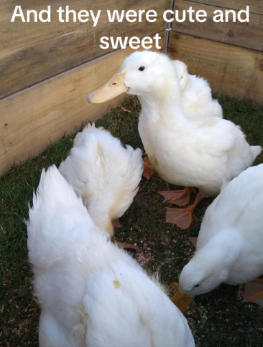 And they were cute and sweet