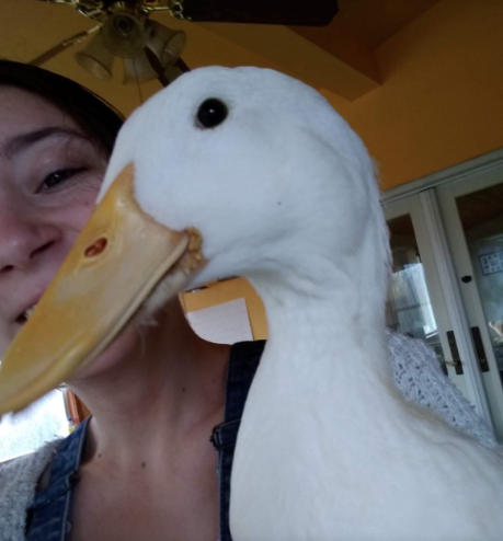 Cheezburger Image 10618944512