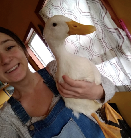 Cheezburger Image 10618944768