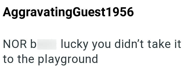 AggravatingGuest 1956 NOR b lucky you didn't take it to the playground