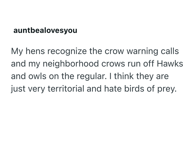 auntbealovesyou My hens recognize the crow warning calls and my neighborhood crows run off Hawks and owls on the regular. I think they are just very territorial and hate birds of prey.
