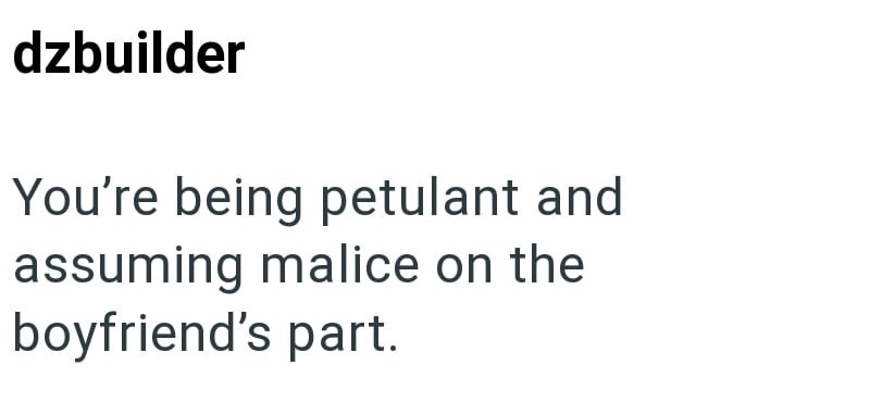 dzbuilder You're being petulant and assuming malice on the boyfriend's part.