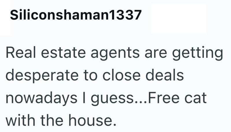 Siliconshaman1337 Real estate agents are getting desperate to close deals nowadays I guess...Free cat with the house.