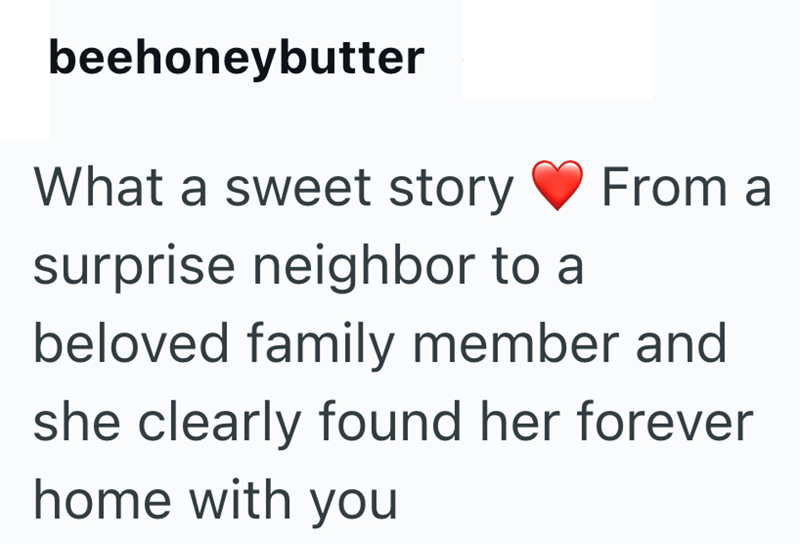 beehoneybutter What a sweet story surprise neighbor to a From a beloved family member and she clearly found her forever home with you
