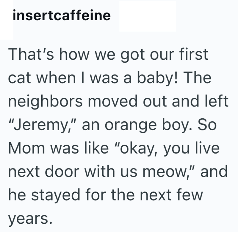 insertcaffeine That's how we got our first cat when I was a baby! The neighbors moved out and left "Jeremy," an orange boy. So Mom was like "okay, you live next door with us meow," and he stayed for the next few years.
