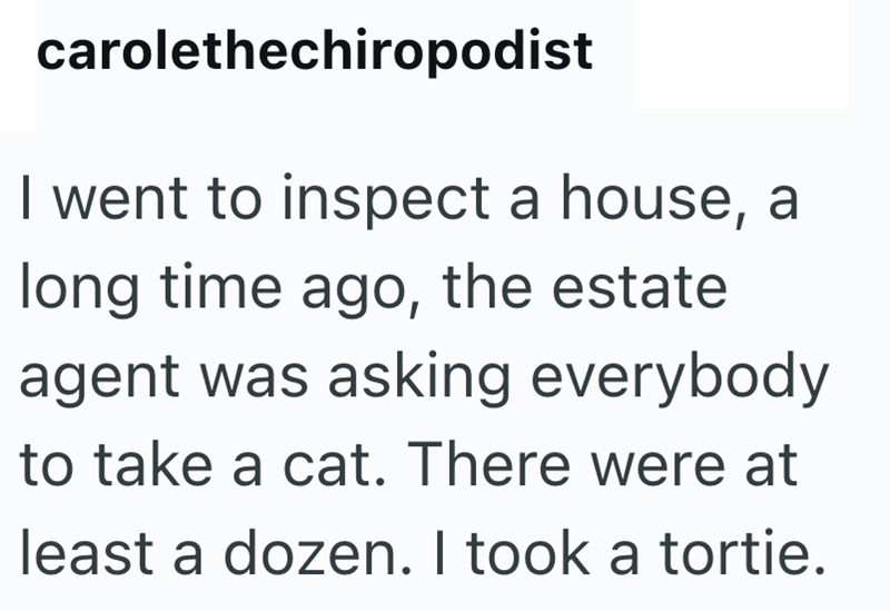 carolethechiropodist I went to inspect a house, a long time ago, the estate agent was asking everybody to take a cat. There were at least a dozen. I took a tortie.