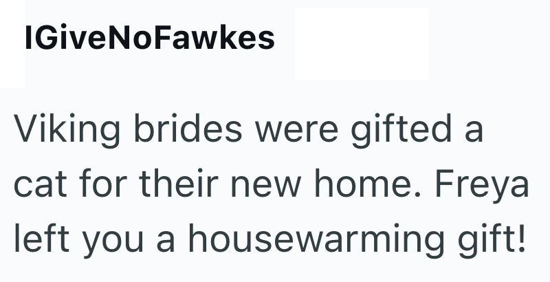 IGiveNoFawkes Viking brides were gifted a cat for their new home. Freya left you a housewarming gift!