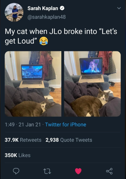 Sarah Kaplan → @sarahkaplan48 My cat when JLo broke into "Let's get Loud" 1:49 - 21 Jan 21 - Twitter for iPhone 37.9K Retweets 2,938 Quote Tweets 350K Likes 27