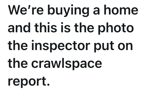 We're buying a home and this is the photo the inspector put on the crawlspace report.
