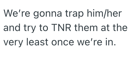 We're gonna trap him/her and try to TNR them at the very least once we're in.