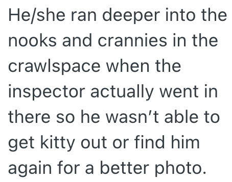 He/she ran deeper into the nooks and crannies in the crawlspace when the inspector actually went in there so he wasn't able to get kitty out or find him again for a better photo.
