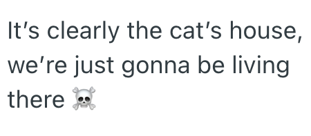 It's clearly the cat's house, we're just gonna be living there