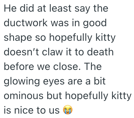 He did at least say the ductwork was in good shape so hopefully kitty doesn't claw it to death before we close. The glowing eyes are a bit ominous but hopefully kitty is nice to us