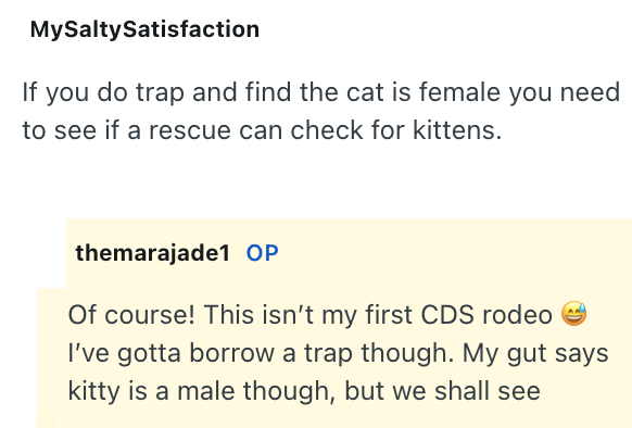 MySalty Satisfaction If you do trap and find the cat is female you need to see if a rescue can check for kittens. themarajade1 OP Of course! This isn't my first CDS rodeo I've gotta borrow a trap though. My gut says kitty is a male though, but we shall see