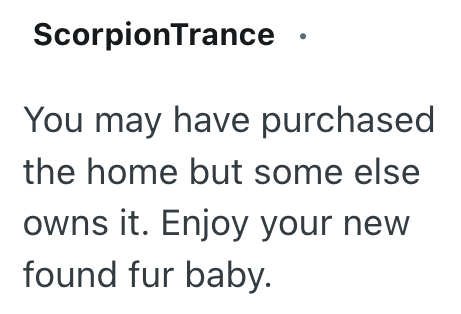 ScorpionTrance You may have purchased the home but some else owns it. Enjoy your new found fur baby.