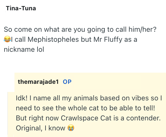 Tina-Tuna So come on what are you going to call him/her? I call Mephistopheles but Mr Fluffy as a nickname lol themarajade1 OP Idk! I name all my animals based on vibes so I need to see the whole cat to be able to tell! But right now Crawlspace Cat is a contender. Original, I know