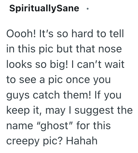 SpirituallySane • Oooh! It's so hard to tell in this pic but that nose looks so big! I can't wait to see a pic once you guys catch them! If you keep it, may I suggest the name "ghost" for this creepy pic? Hahah