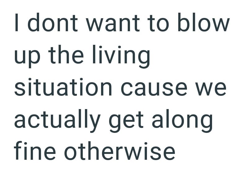I dont want to blow up the living situation cause we actually get along fine otherwise