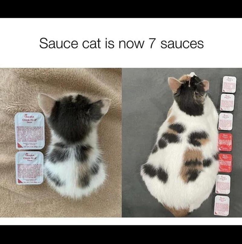 Capas Chick-fil-A sw100.0 Chick-fil-A Sauce cat is now 7 sauces