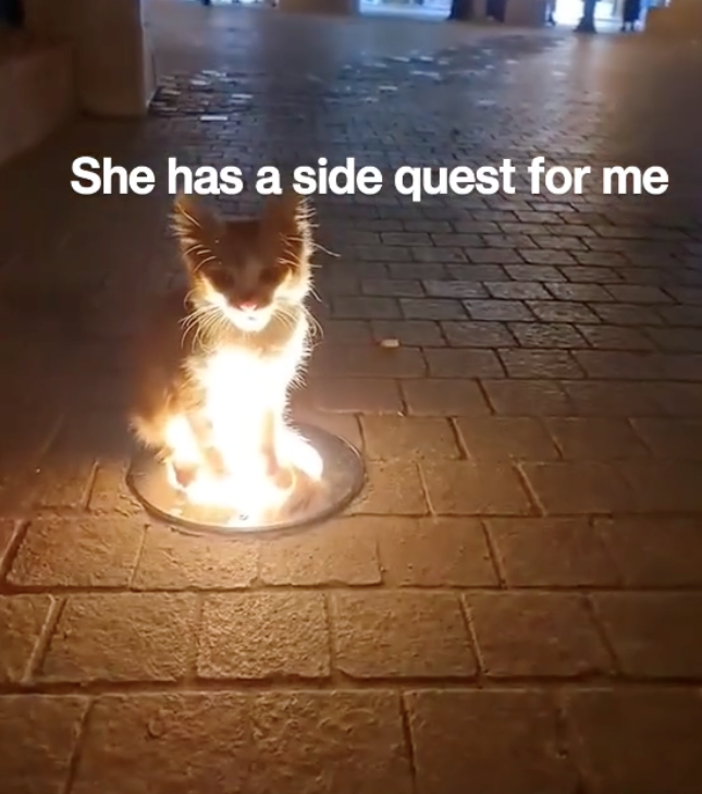 She has a side quest for me