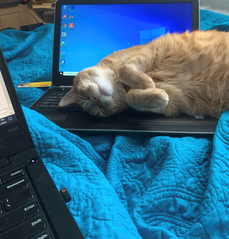 PM 1/2020 Delete Backspace Enter Shift Dn E485 G