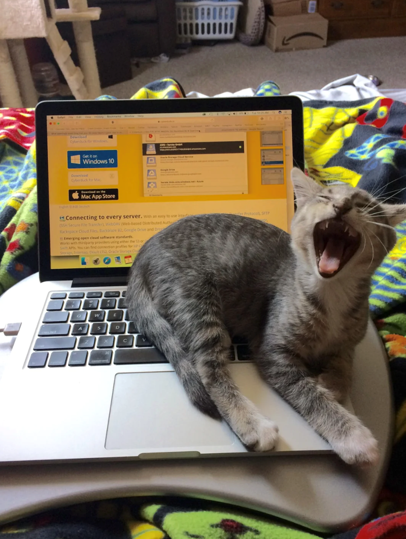 Safari Ear History Bookmarks Download Cyberduck for Windows Get it on Windows 10 The 10 25 AM Download Cyberduck for Mac Download on the Mac App Store Ingh Ba Deutsch Connecting to every server. with an easy to use interfac (SSH Secure File Transfer), WebDAV (Web-based Distributed Autho Rackspace Cloud Files, Backblaze B2, Google Drive and Drop Emerging open cloud software standards. Works with thirdparty providers using either the 53 or Swift APIs. You can find connection profiles for HP C Stor