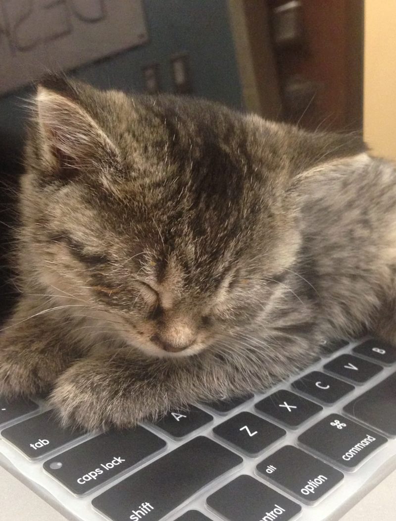 tab caps lock shift Z alt Х trol option J H command >