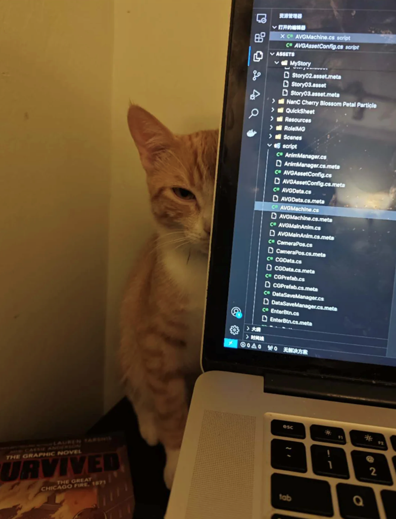 AUREN TARSIS CASSIE ANDERSON THE GRAPHIC NOVEL SURVIVED THE GREAT CHICAGO FIRE, 1871 24 م > 资源管理器 ·打开的编觸器 XC AVGMachine.cs script CAVGAssetConfig.cs script ASSETS > > MyStory Story02.asset.meta Story03.asset Story03.asset.meta NanC Cherry Blossom Petal Particle QuickSheet Resources >RolelMG > Scenes script C AnimManager.cs AnimManager.cs.meta CAVGAssetConfig.cs AVGAssetConfig.cs.meta C AVGData.cs DAVGData.cs.meta C AVGMachine.cs DAVGMachine.cs.meta ce AVGMainAnim.cs AVGMainAnim.cs.meta C CameraP