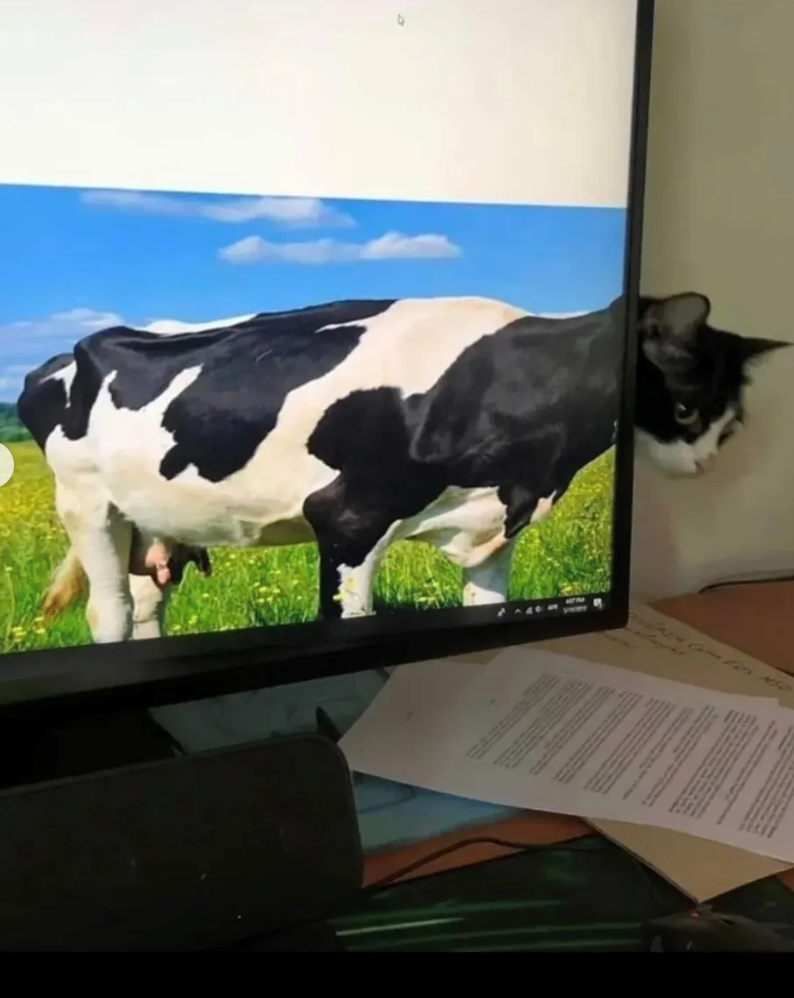 Cheezburger Image 10619008768