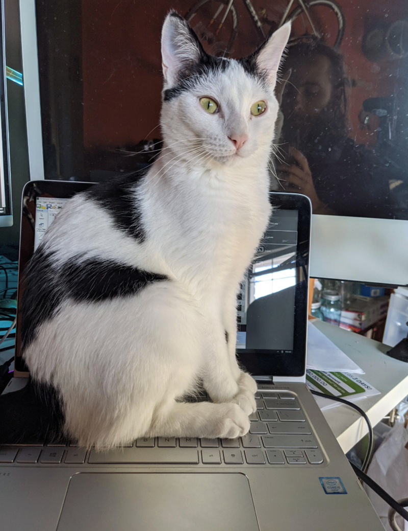 RE alt ctri 0000.00 as 3 DAYS! intel CORE IS