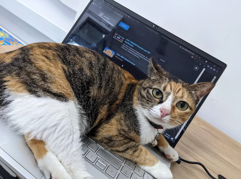 PLAY Aale 1,000,000 Decision and TOS Clarification Lawan ang and The 1 Many of our community chance to Axle: AMA Stream is Live! t shift JUBL end 501 PM