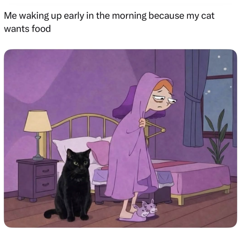Me waking up early in the morning because my cat wants food D