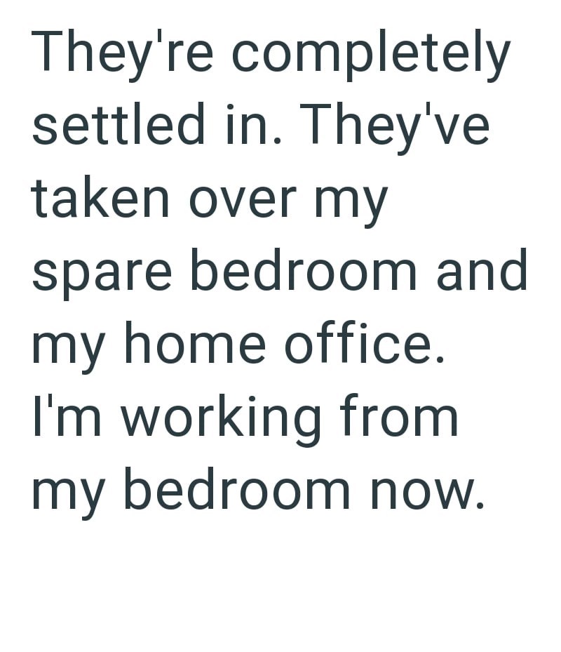 They're completely settled in. They've taken over my spare bedroom and my home office. I'm working from my bedroom now.