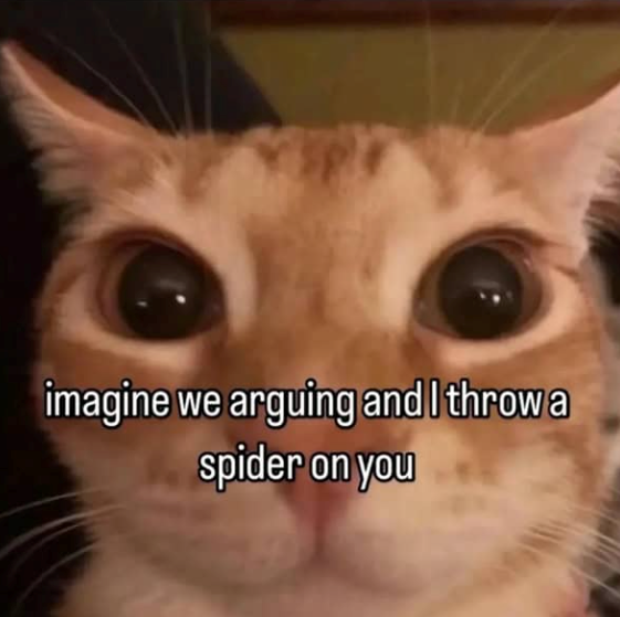 imagine we arguing and I throw a spider on you